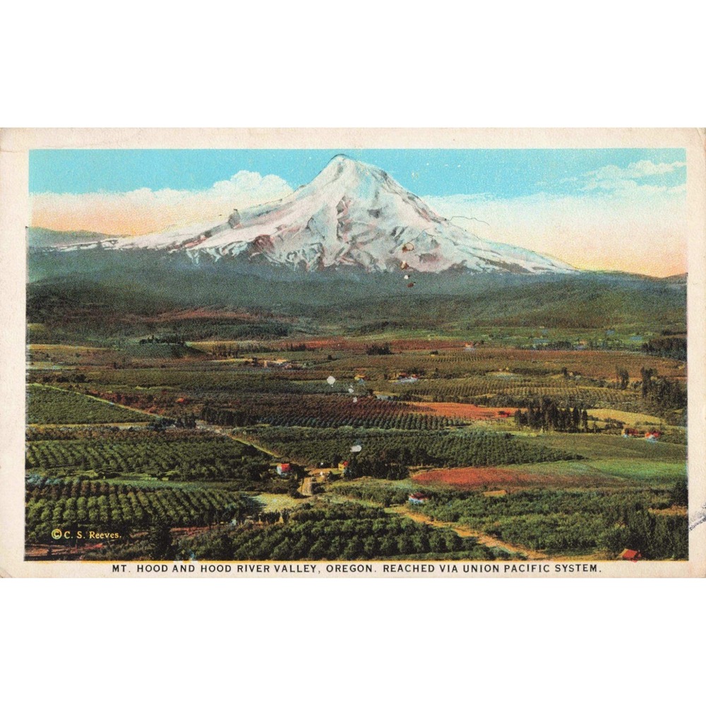 Vintage Mt Hood and Hood River Valley Oregon Union Pacific Pictorial Postcard - Picture 1 of 2